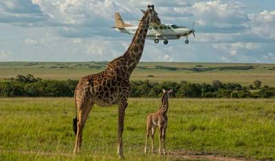 Safári de Luxo Aéreo de 6 Dias em Masai Mara e Praia de Diani - Exclusivo — 3