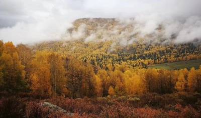 Express 4-Day Kanas Tour from Urumqi in Northern Xinjiang — 4