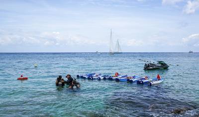 MEXICO – Ruins Cenotes & Swim with Whale Shark — 3