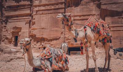 عطلة في الأردن مصممة خصيصًا لمدة 9 أيام مع البتراء والبحر الميت، تبدأ يوميًا وسيارة خاصة حصرية — 4