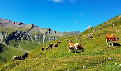 TOUR DU MONT BLANC – سويسرا فرنسا إيطاليا — 3