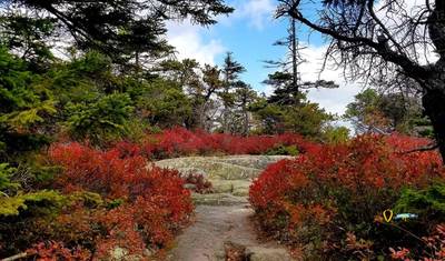 USA – Best of Acadia National Park Maine — 5