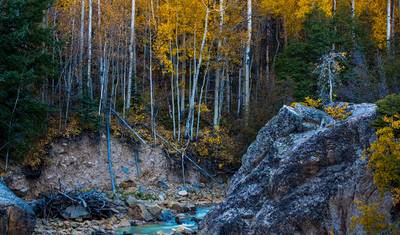 USA – Colorado Highlights Aspen with Fall Foliage — 5