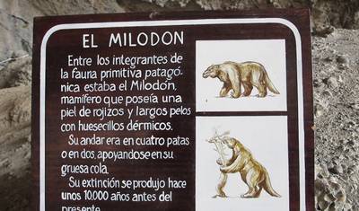 チリ：Punta Arenas、Puerto Natales & Torres del Paine National Park - 5日間 — 5