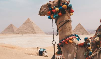 TUT Honey Moon Tour: 8 Dias do Cairo (Cairo, Cruzeiro no Nilo em Luxor, Aswan, Abu Simbel, Balão de Ar Quente e Mais....) — 2