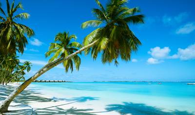 Aventura Havaiana: Praia e Prancha — 4