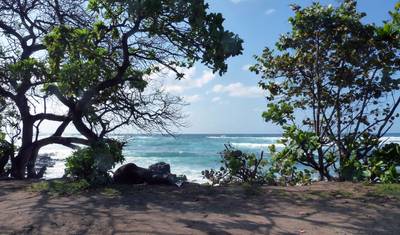 Aventura Havaiana: Praia e Prancha — 5
