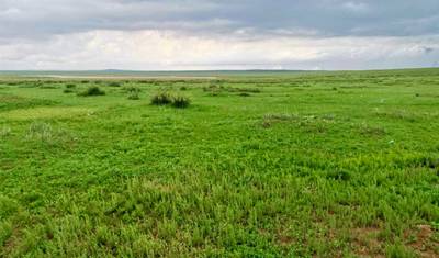 6-Day Inner Mongolia Tour: Grassland, Desert, Ordos, Baotou, Hohhot — 4
