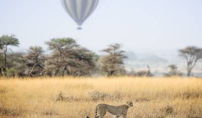 2-dniowe Epickie Safari w Tanzanii — 2