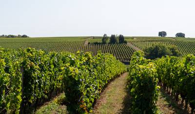 Alpe Adria Cycle Path, Villach – Grado – Trieste — 4