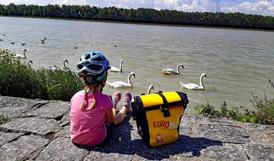 Danube Cycle Path for families, Linz – Vienna — 5