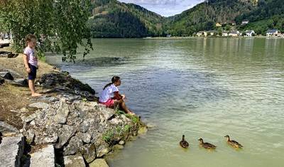 Danube cycle path for families, Schärding – Linz — 5