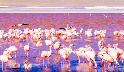 Szyta na miarę 9-dniowa wycieczka po Boliwii do Uyuni i Jeziora Titicaca, codzienne wyjazdy i prywatny przewodnik — 2