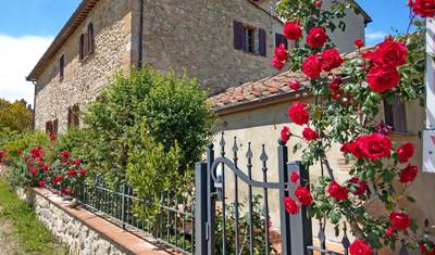 Toscana Pitoresca — 5