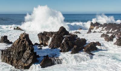 カナリア諸島ハイキング：テネリフェ島、アナガ、そしてその先へ — 5
