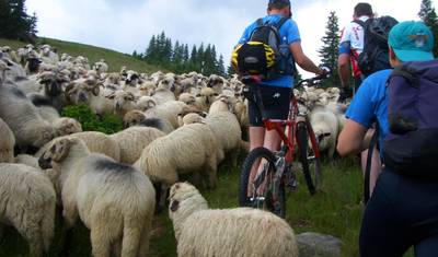 Transylvania by bike — 2