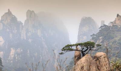 عطلة قصيرة في مدينة Huangshan، جولة خاصة — 3