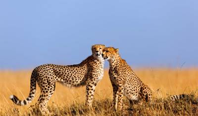 Tanzania & Kenya: Highlights with Zanzibar — 2