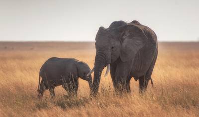 Tanzania & Kenya: Highlights with Zanzibar — 5