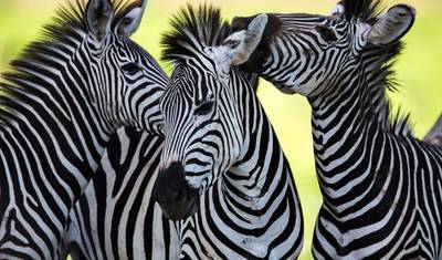 Tanzania & Kenya: Highlights with Zanzibar — 4