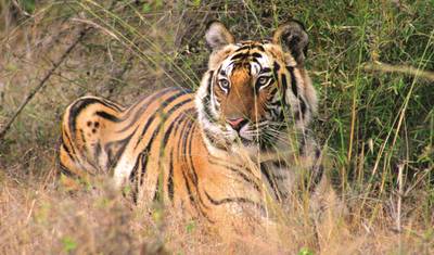 Highlights of Northern India — 2