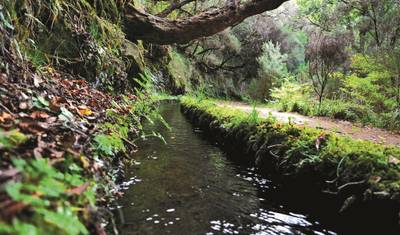 Destaques da Madeira — 4