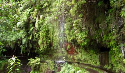 Destaques da Madeira — 2