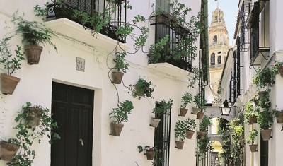 Andalusia Impressions — 2