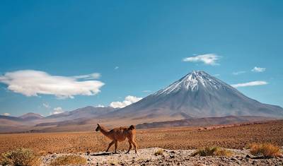Peru, Bolivia & Chile In-Depth — 4