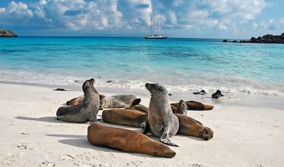 Ekwador i najważniejsze atrakcje Galapagos — 2
