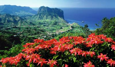 Madeira Impressions — 3