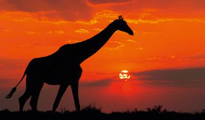 Wonders of South Africa — 2