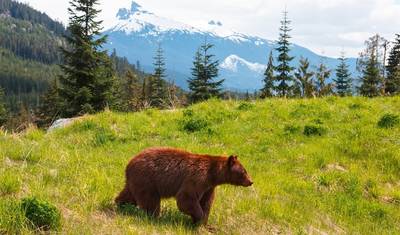 Highlights of Western Canada — 3