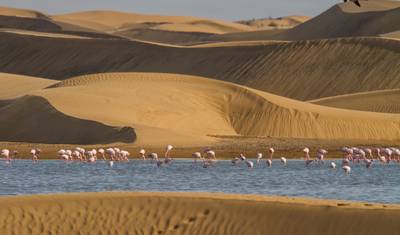 Namibia Express — 5
