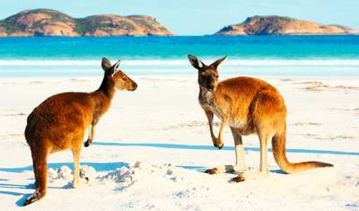 Australia w Głębi — 3