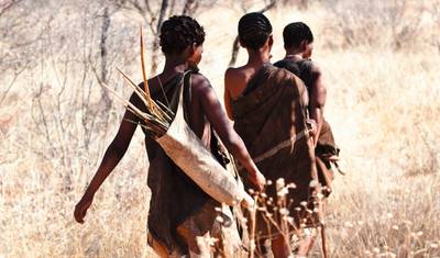 ボツワナ＆ジンバブエ ハイライト — 2
