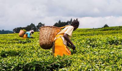Malawi & Zambia : Highlights — 3