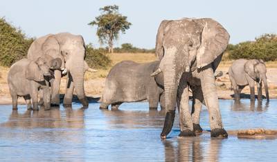 Malawi & Zambia : Highlights — 5