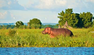 Malawi & Zambia : Highlights — 2