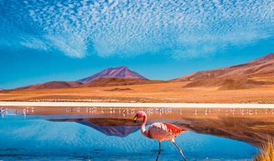 Chile: Destaques — 3