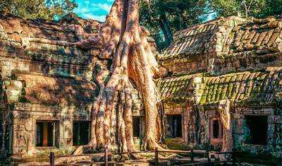 Excursão Familiar Personalizada de 6 Dias no Camboja, Guia Privado e Partidas Diárias — 3