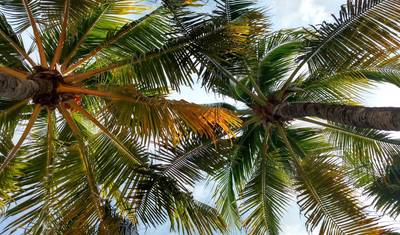 Mayan Route Tour: Impressive Riviera Maya, Ruins and Canyon — 3