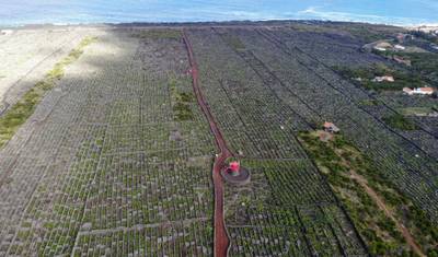 Descubra a Ilha do Pico - Caminhadas, Passeios e Muito Mais — 2