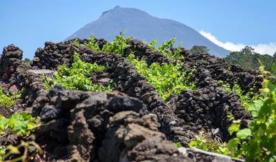 Descubra a Ilha do Pico - Caminhadas, Passeios e Muito Mais — 3