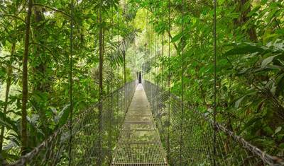 Najważniejsze atrakcje Kostaryki dla rodzin — 5