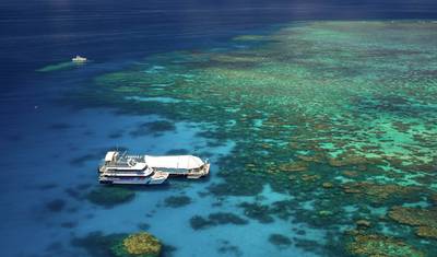 باقة هروب لمدة 6 أيام في Cairns — 4