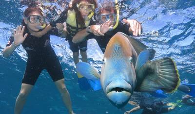 باقة هروب لمدة 6 أيام في Cairns — 5
