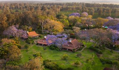10 Days - Hight-End Safari in Tanzania (Legendary Lodge, Chem Chem, Mwiba Lodge, & Sasakwa Lodge) — 2