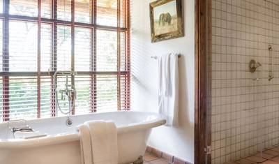 10 Days - Hight-End Safari in Tanzania (Legendary Lodge, Chem Chem, Mwiba Lodge, & Sasakwa Lodge) — 3