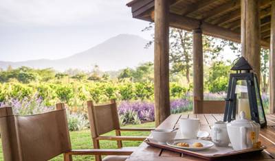 10 Days - Hight-End Safari in Tanzania (Legendary Lodge, Chem Chem, Mwiba Lodge, & Sasakwa Lodge) — 4